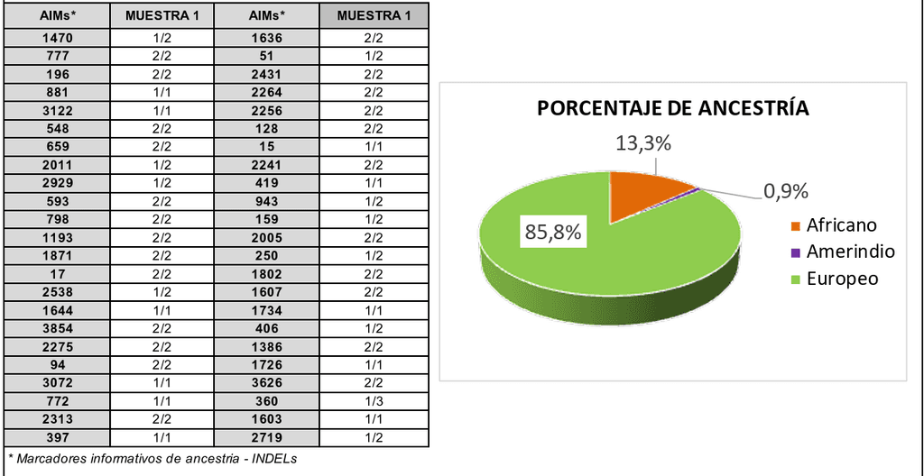 ejemplo de resultado de prueba de ancestria genética realizado por DNA en CASA